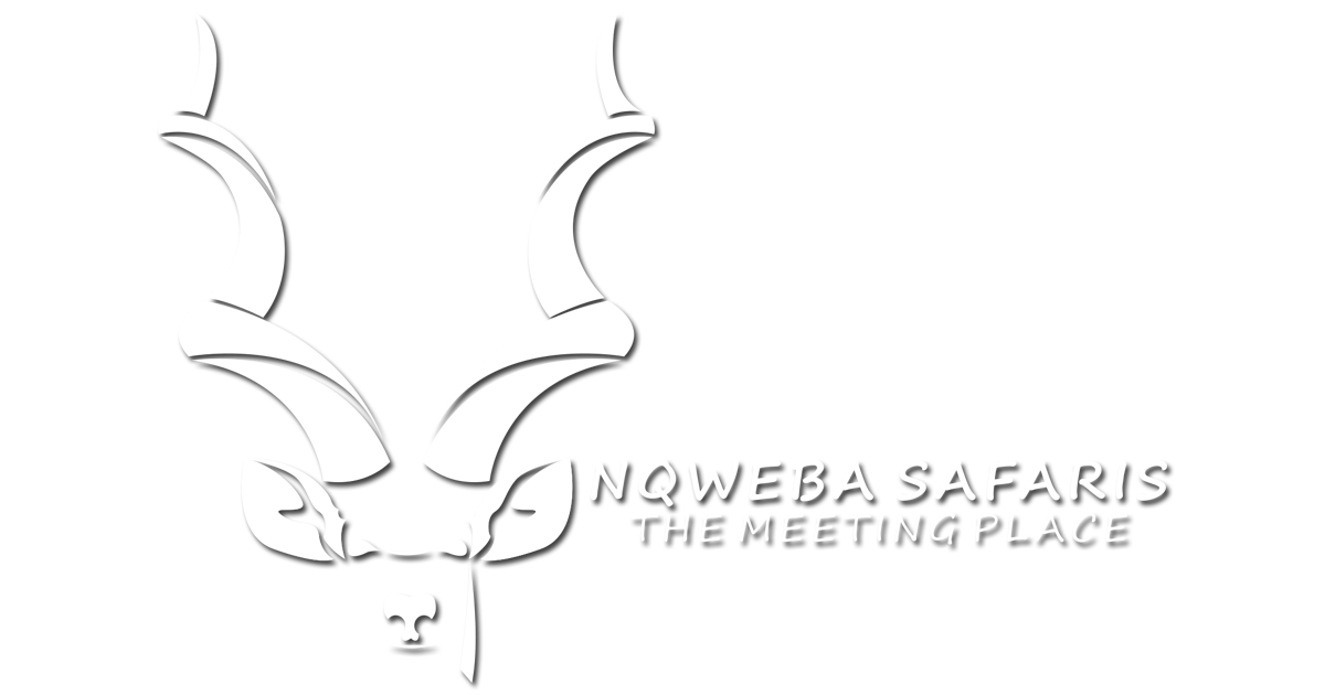 NqwebaSafarisRSAhunting